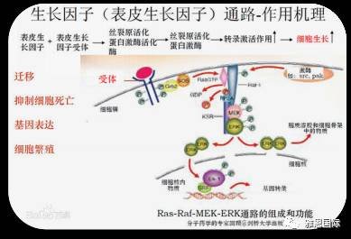 案例图片