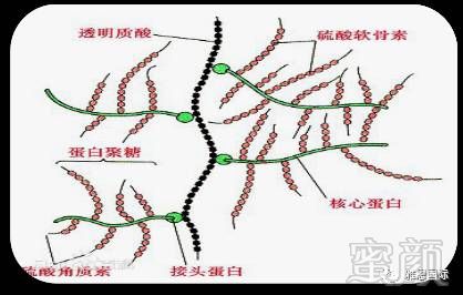 案例图片