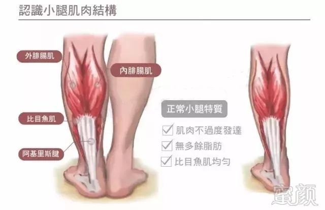 https://img.miyanlife.com/mnt/timg/180308/122P2O13-2.jpg