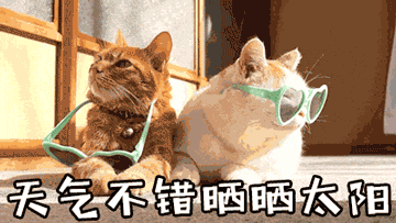 https://img.miyanlife.com/mnt/timg/180308/131S21336-1.gif