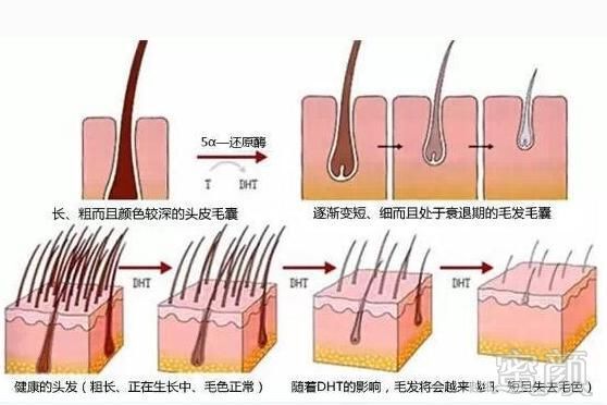 案例图片