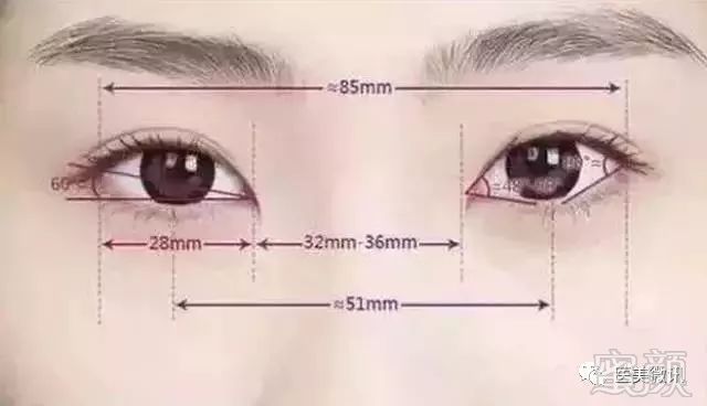 https://img.miyanlife.com/mnt/timg/180308/132R94037-5.jpg
