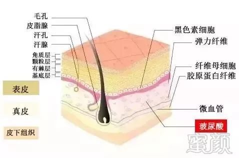 案例图片