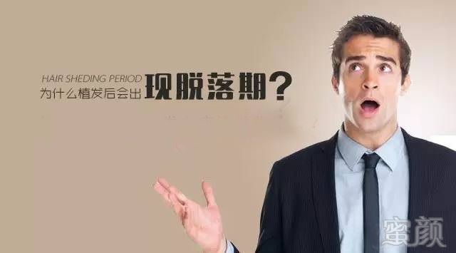 https://img.miyanlife.com/mnt/timg/180310/11094615Y-1.jpg