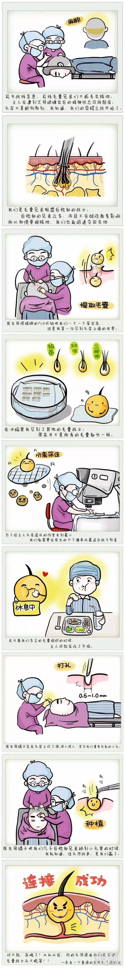 https://img.miyanlife.com/mnt/timg/180311/121352H35-4.jpg