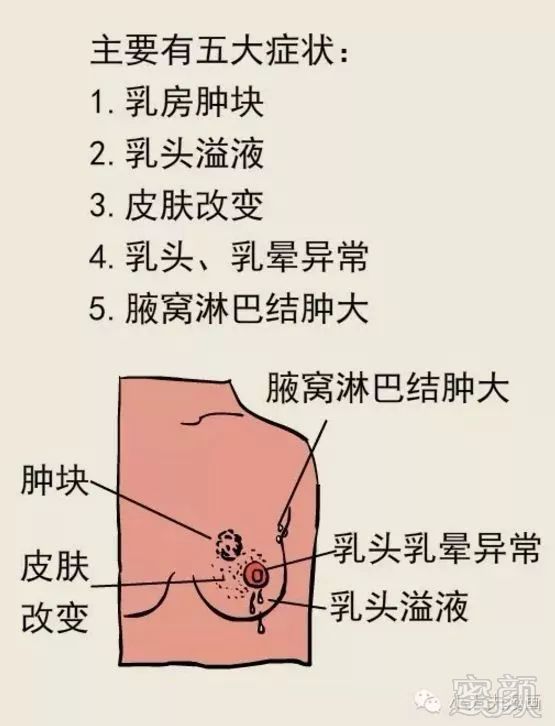 案例图片