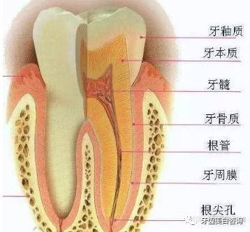 案例图片