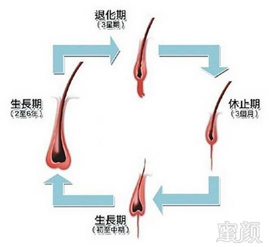 https://img.miyanlife.com/mnt/timg/180312/12524GK8-1.jpg