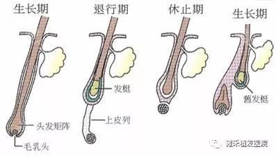 案例图片