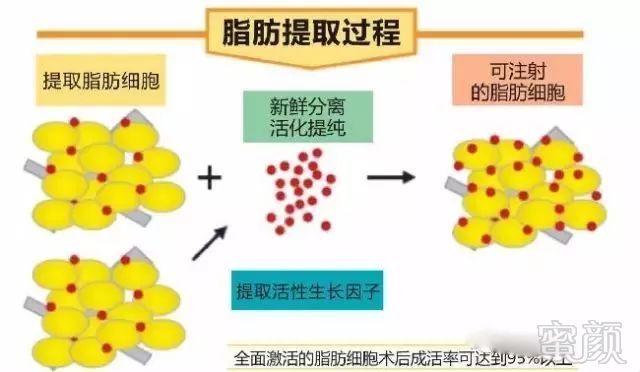 案例图片