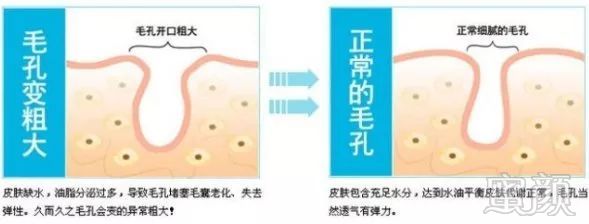 案例图片