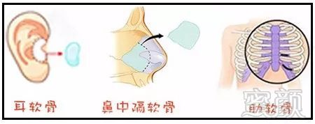 https://img.miyanlife.com/mnt/timg/180315/104J22020-6.jpg