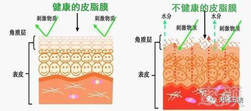 案例图片