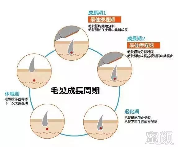https://img.miyanlife.com/mnt/timg/180315/1234454234-4.jpg