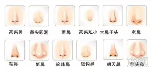 https://img.miyanlife.com/mnt/timg/180316/110UMb9-7.jpg