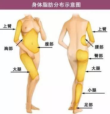 https://img.miyanlife.com/mnt/timg/180316/1231254259-2.jpg