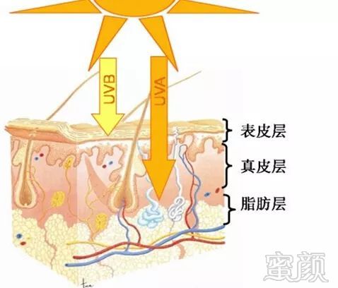 案例图片