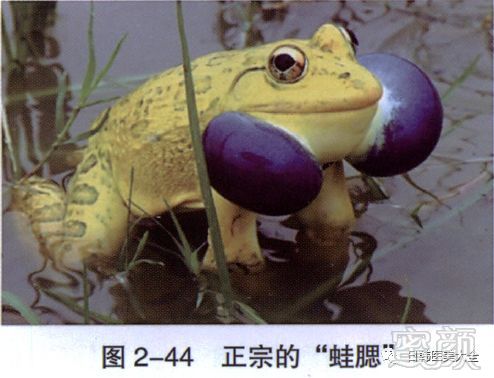 https://img.miyanlife.com/mnt/timg/180319/113ZHI4-10.jpg