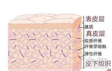 https://img.miyanlife.com/mnt/timg/180319/1225493455-2.jpg