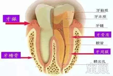 案例图片