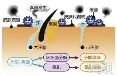 案例图片