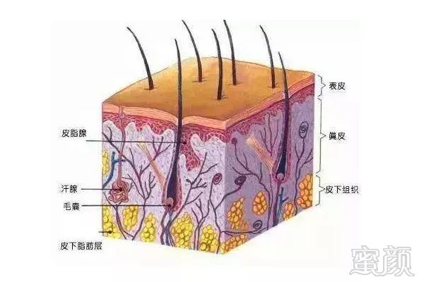 https://img.miyanlife.com/mnt/timg/180320/1214451001-1.jpg
