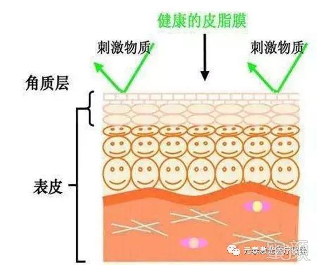 案例图片