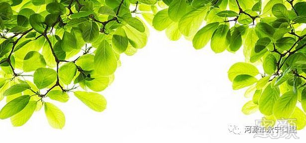 https://img.miyanlife.com/mnt/timg/180321/1150201023-2.jpg