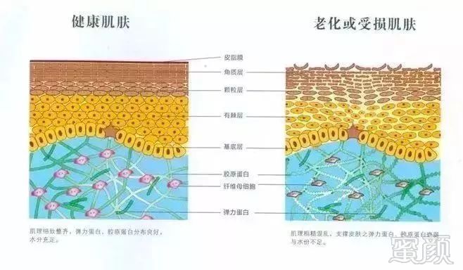 案例图片