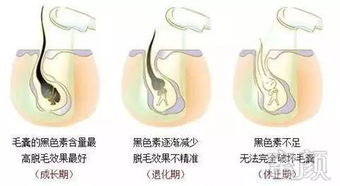 https://img.miyanlife.com/mnt/timg/180321/122J1J25-4.jpg