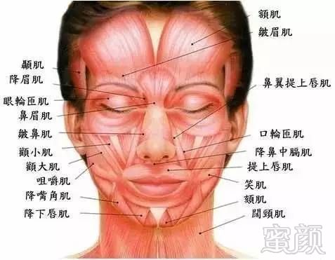 https://img.miyanlife.com/mnt/timg/180321/131G93505-5.jpg