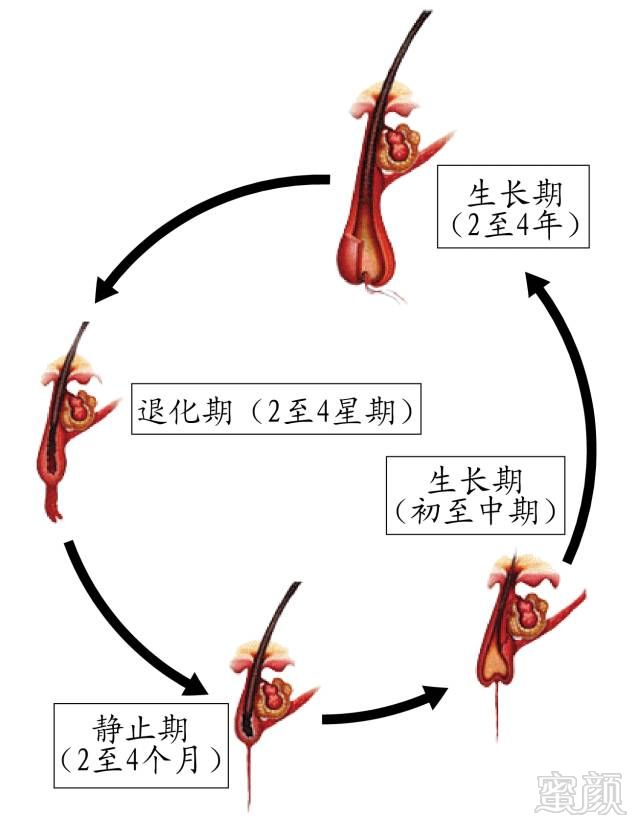 https://img.miyanlife.com/mnt/timg/180323/130H551Y-5.jpg