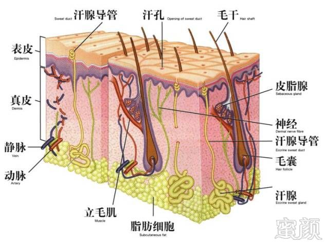 https://img.miyanlife.com/mnt/timg/180323/130HA2J-9.jpg