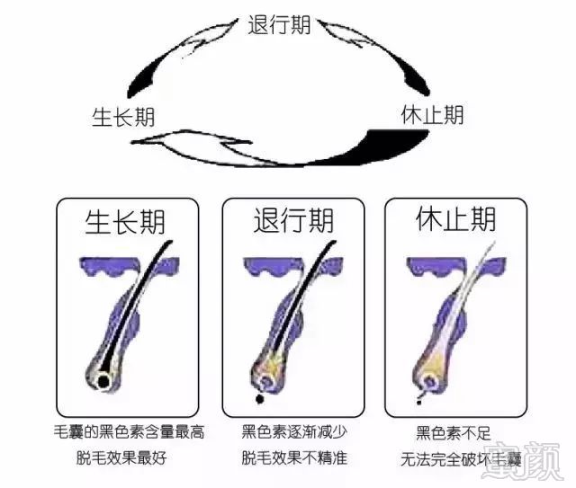 https://img.miyanlife.com/mnt/timg/180323/1320033017-11.jpg