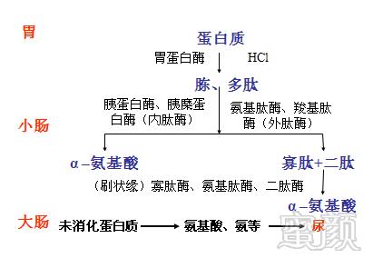 https://img.miyanlife.com/mnt/timg/180325/13512a496-4.jpg