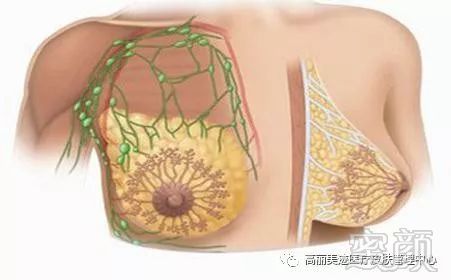 https://img.miyanlife.com/mnt/timg/180326/1154262010-2.jpg