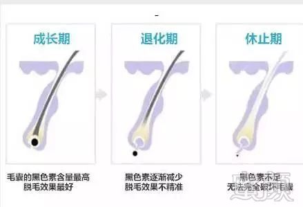 https://img.miyanlife.com/mnt/timg/180327/112T35R6-8.jpg