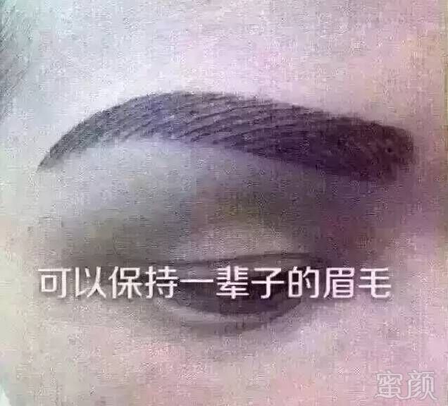 案例图片