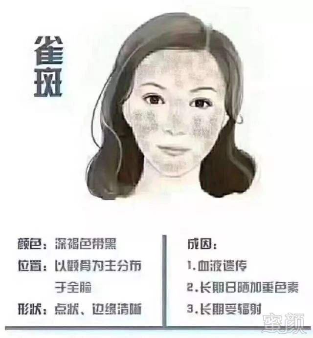 案例图片