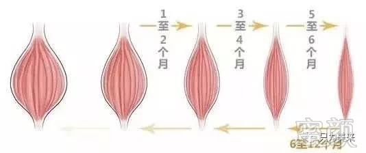 https://img.miyanlife.com/mnt/timg/180329/115032AN-8.jpg