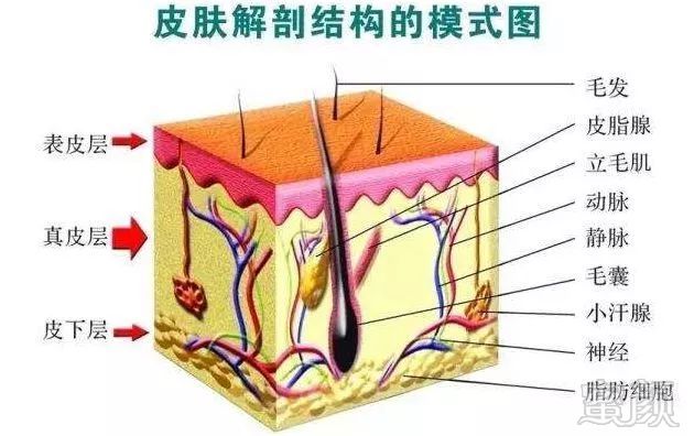 https://img.miyanlife.com/mnt/timg/180330/120A922a-4.jpg
