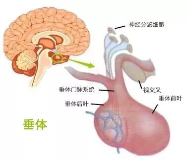 https://img.miyanlife.com/mnt/timg/180331/11330R550-3.jpg