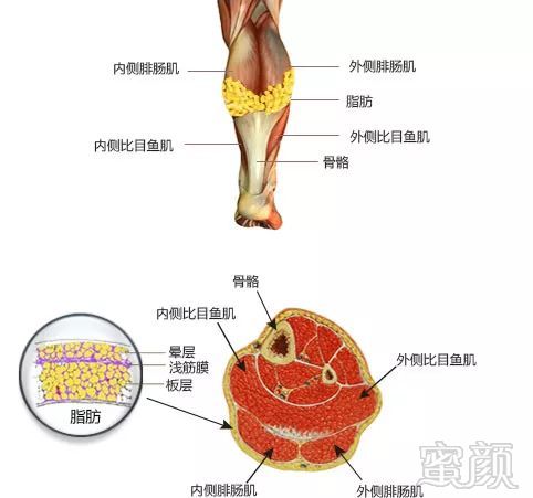 https://img.miyanlife.com/mnt/timg/180331/125425C96-8.jpg