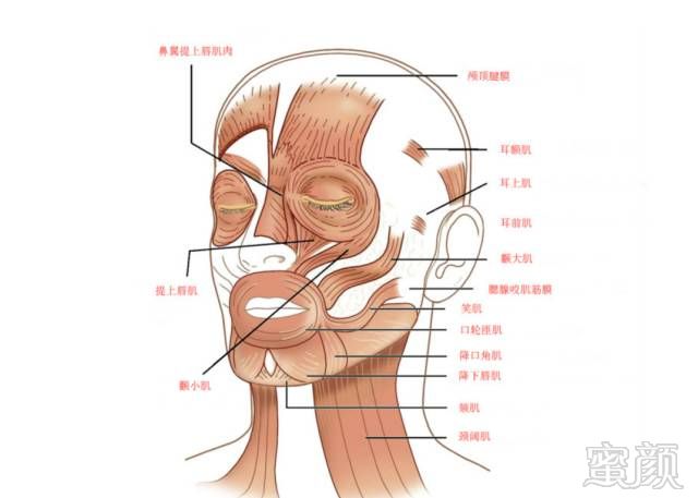 https://img.miyanlife.com/mnt/timg/180401/112T533D-3.jpg