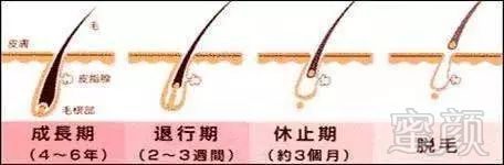 https://img.miyanlife.com/mnt/timg/180402/1100263V7-6.jpg