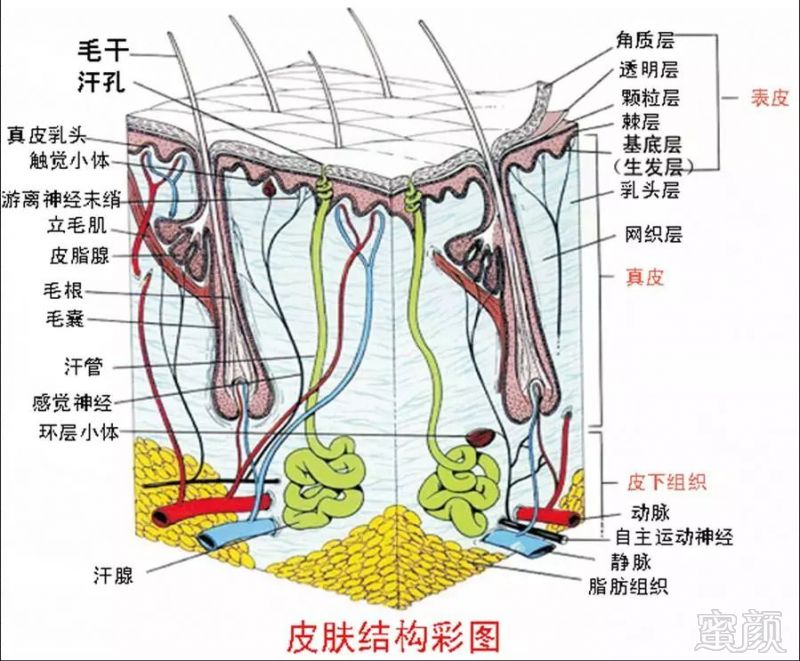 https://img.miyanlife.com/mnt/timg/180402/1114523C1-2.jpg