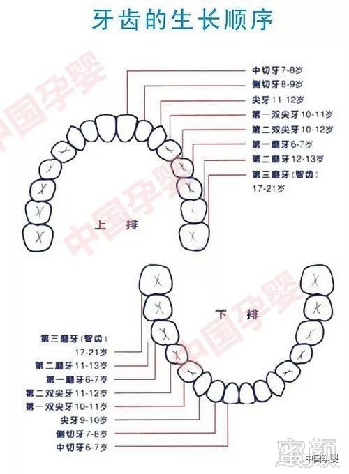 案例图片