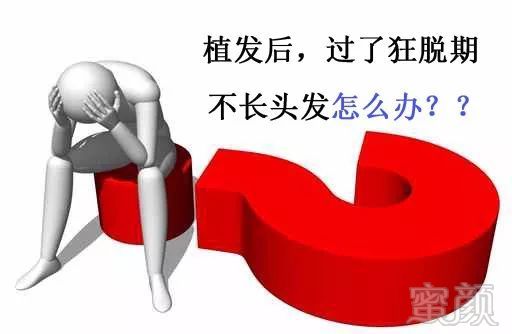 https://img.miyanlife.com/mnt/timg/180403/115QJ551-0.jpg