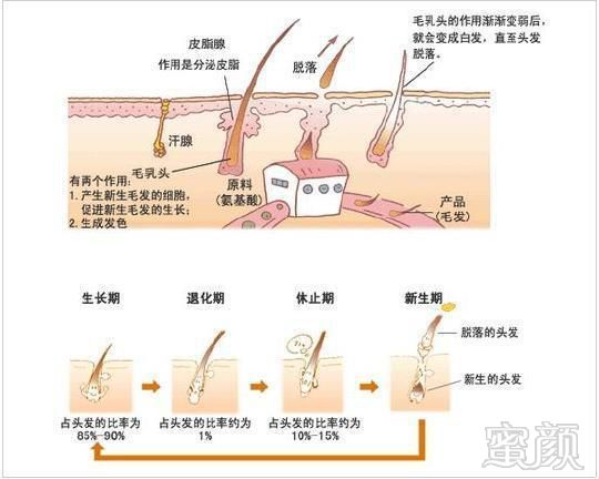 https://img.miyanlife.com/mnt/timg/180403/115QUb5-4.jpg