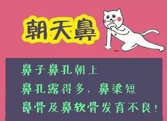 案例图片